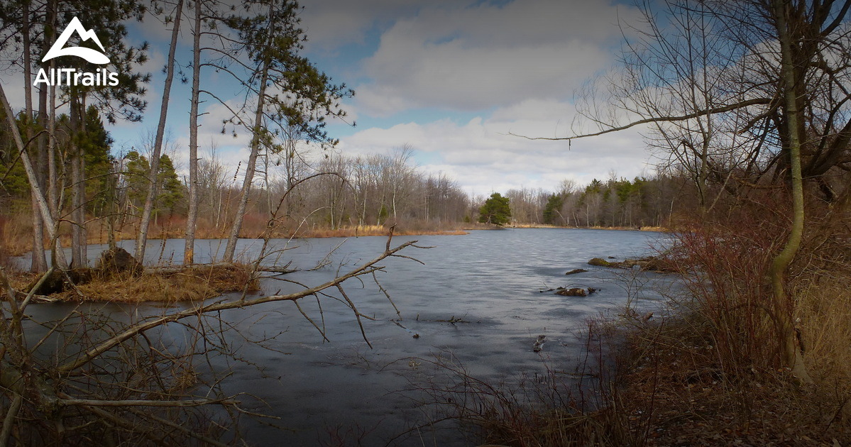 are dogs allowed at reinstein woods