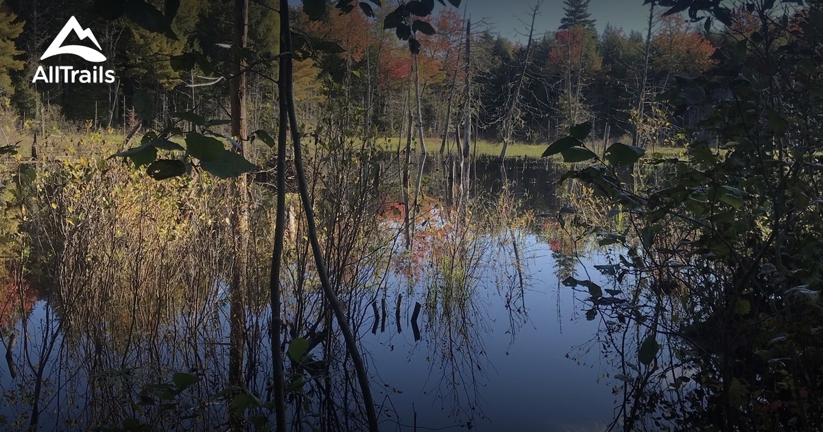 Escape to the Wild: Cromwell Meadows Wildlife Refuge, Your Gateway to Nature's Wonders