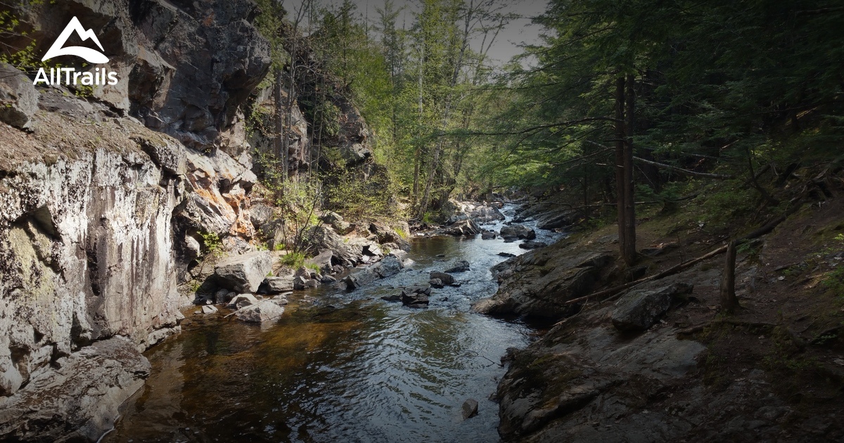 10 Best Hikes and Trails in Escanaba River State Forest AllTrails