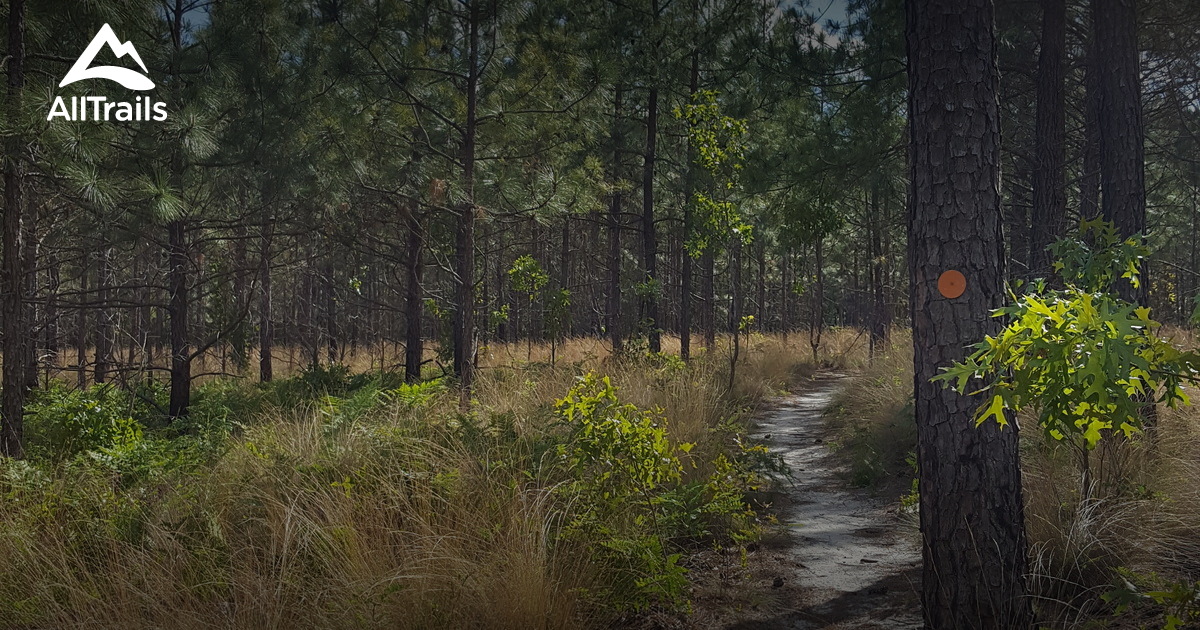 Best Hikes and Trails in Anderson Creek County Park AllTrails