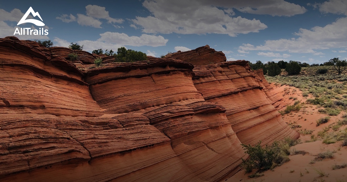 Best Hikes and Trails in Coyote Buttes South | AllTrails