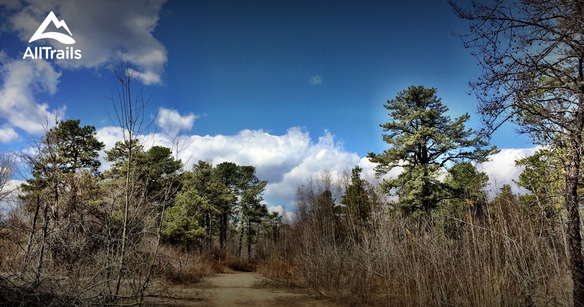 Best Trails in Albany Pine Bush Preserve New York AllTrails