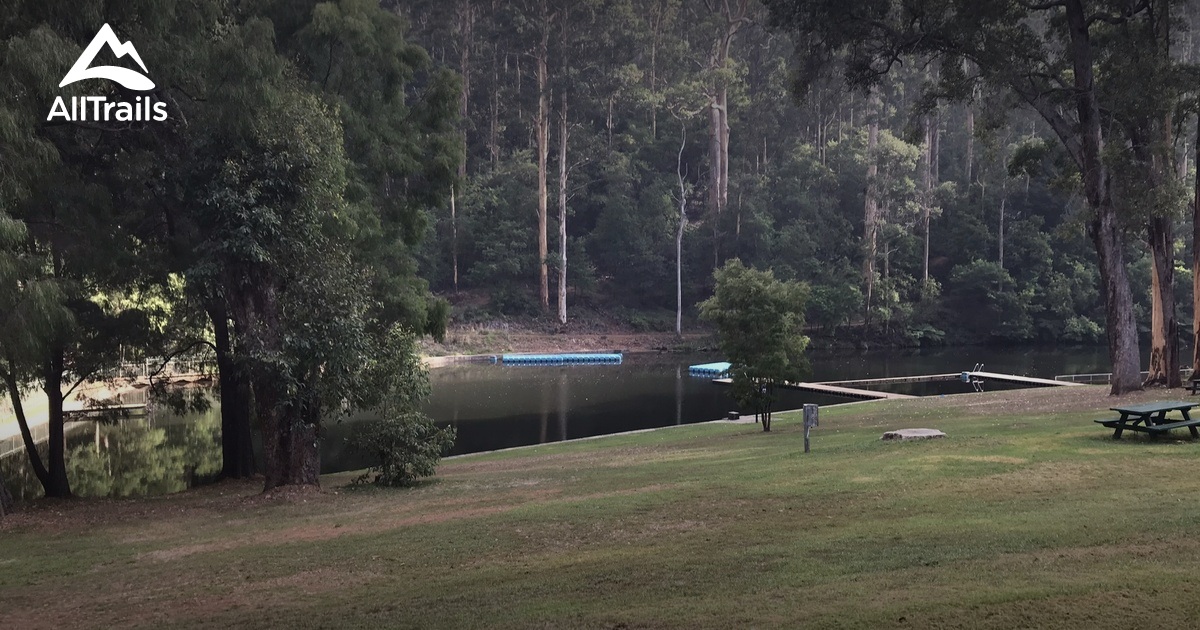 Best Hikes and Trails in Pemberton Forest Park AllTrails