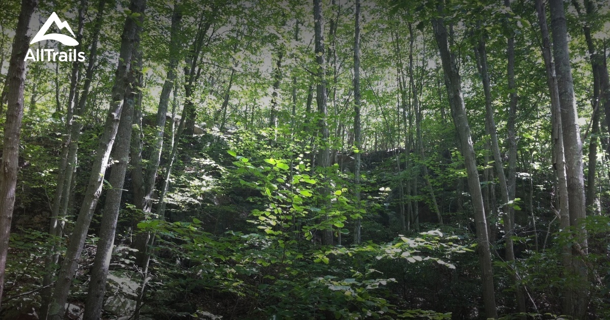 Best Trails in Oswegatchie Hills Nature Preserve Connecticut AllTrails