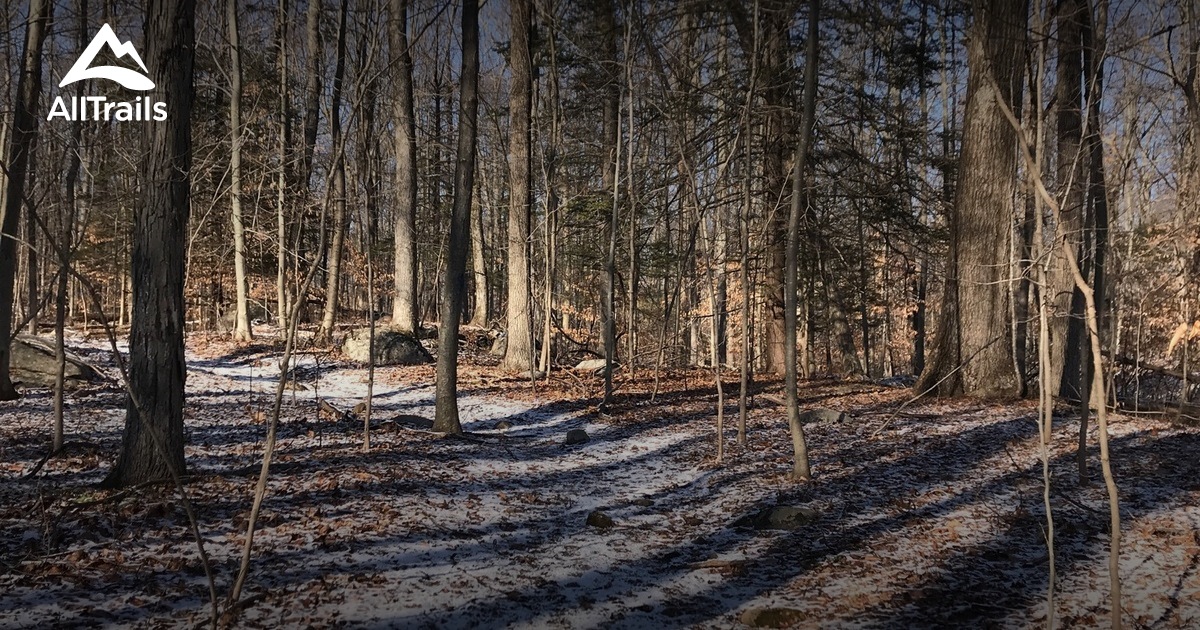 Best Hikes and Trails in Wilton Woods AllTrails