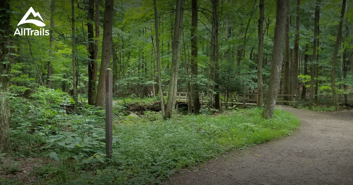 Girdled Road Reservation Die besten Routen zum Wandern AllTrails