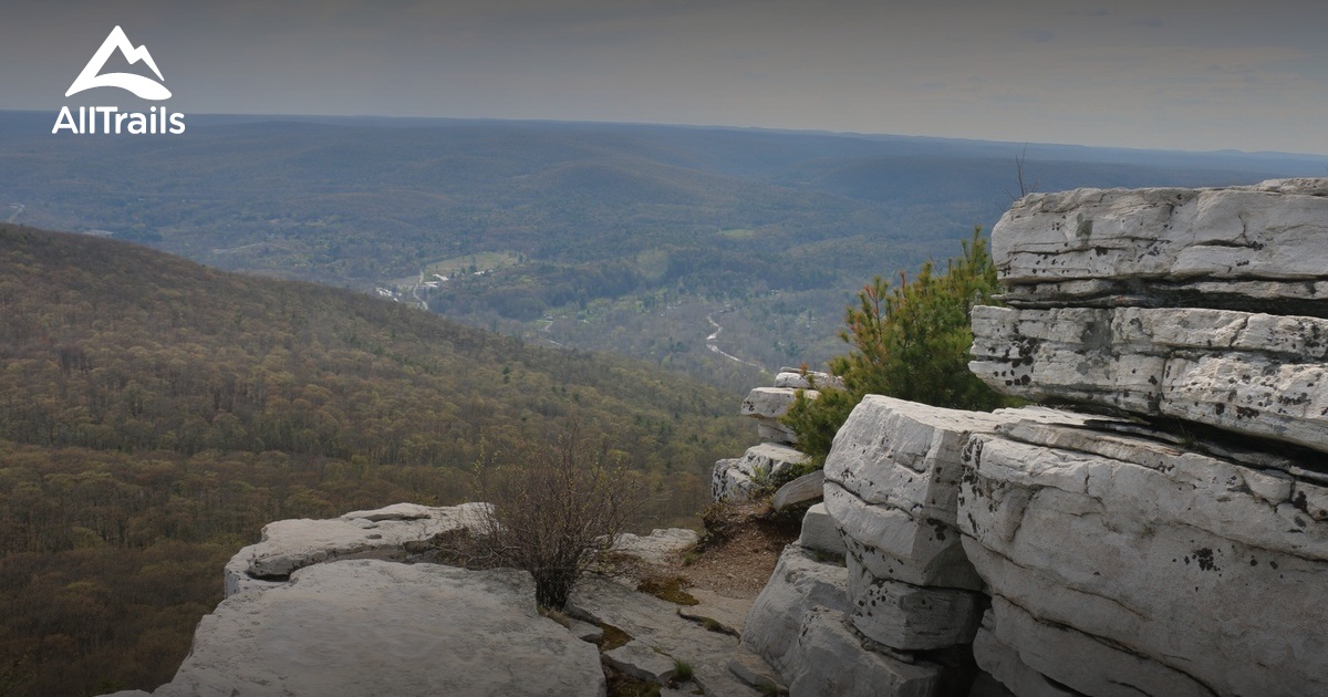 Best Trails in Bear Hill Preserve New York AllTrails
