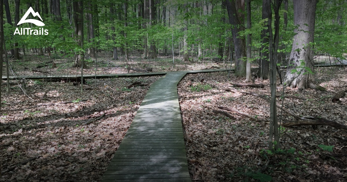 Hach-Otis: Where Ohio's Wilderness Whispers Secrets