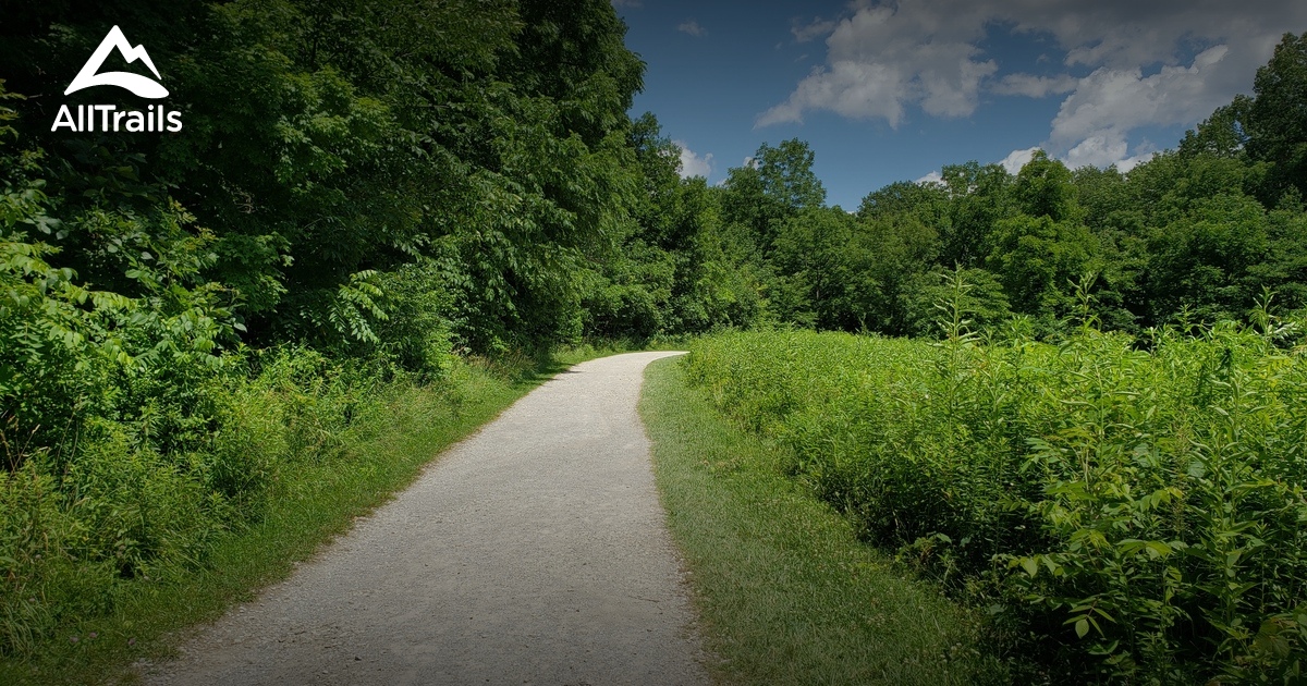 Escape to the Wild: Discover Ohio's Hidden Gem at Highbanks Metro Park