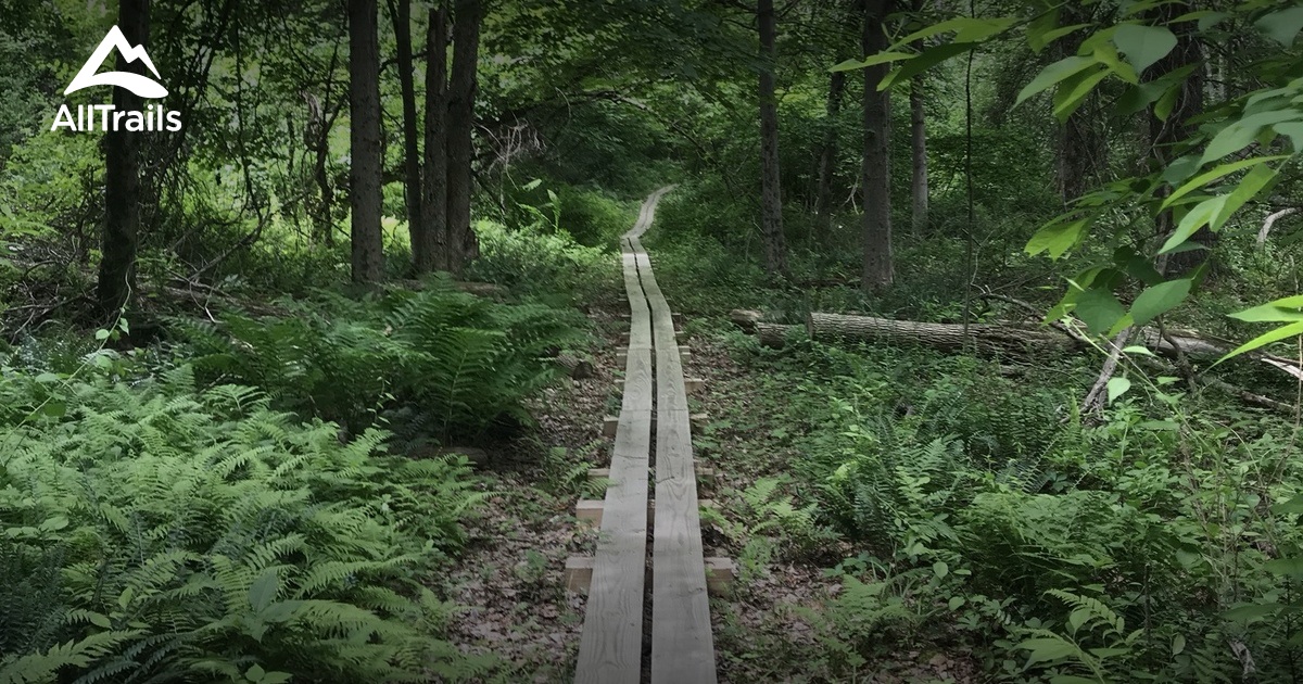 Best hikes and trails in Pawling Nature Preserve AllTrails