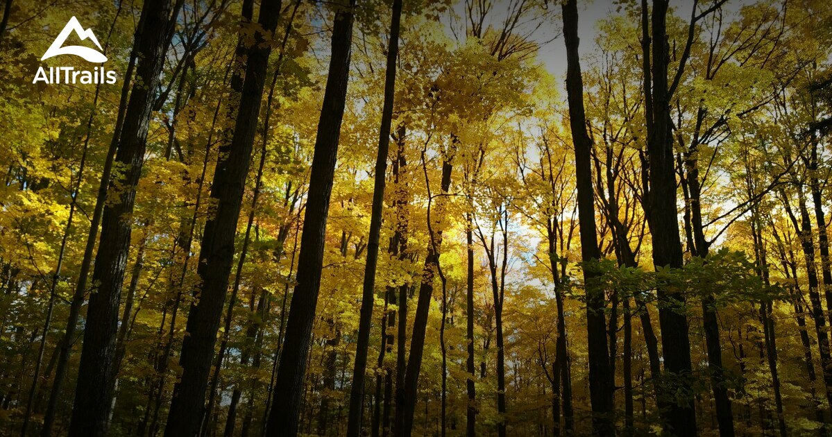 Best hikes and trails in Bruce's Mill Conservation Area | AllTrails