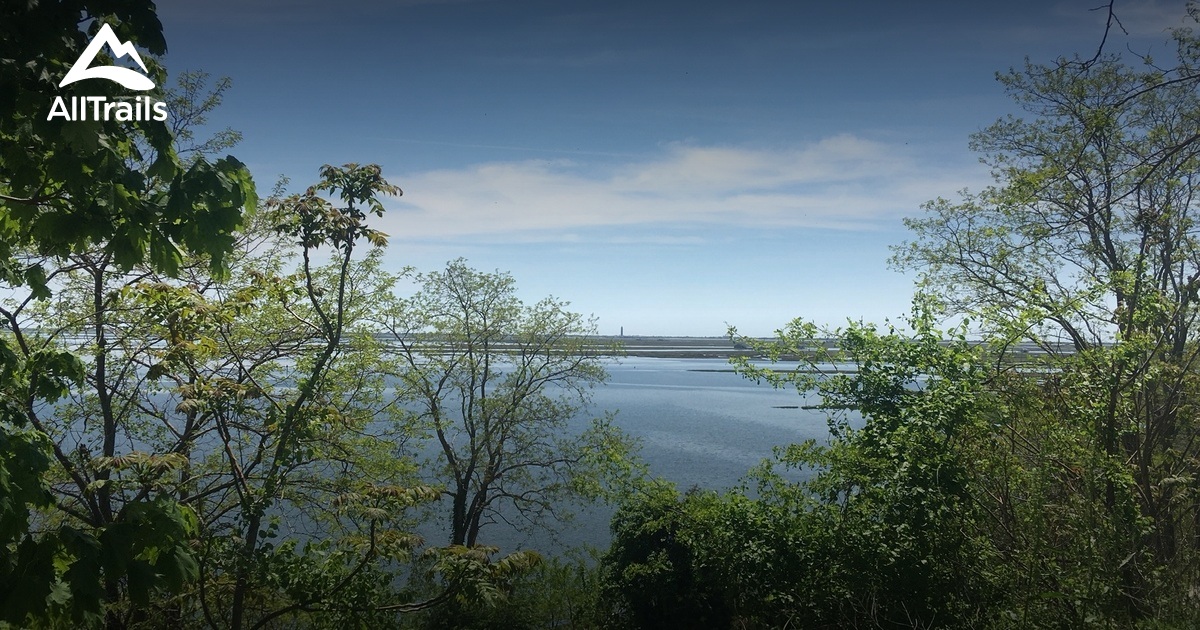 Norman J. Levy Park and Preserve de beste routes om te wandelen