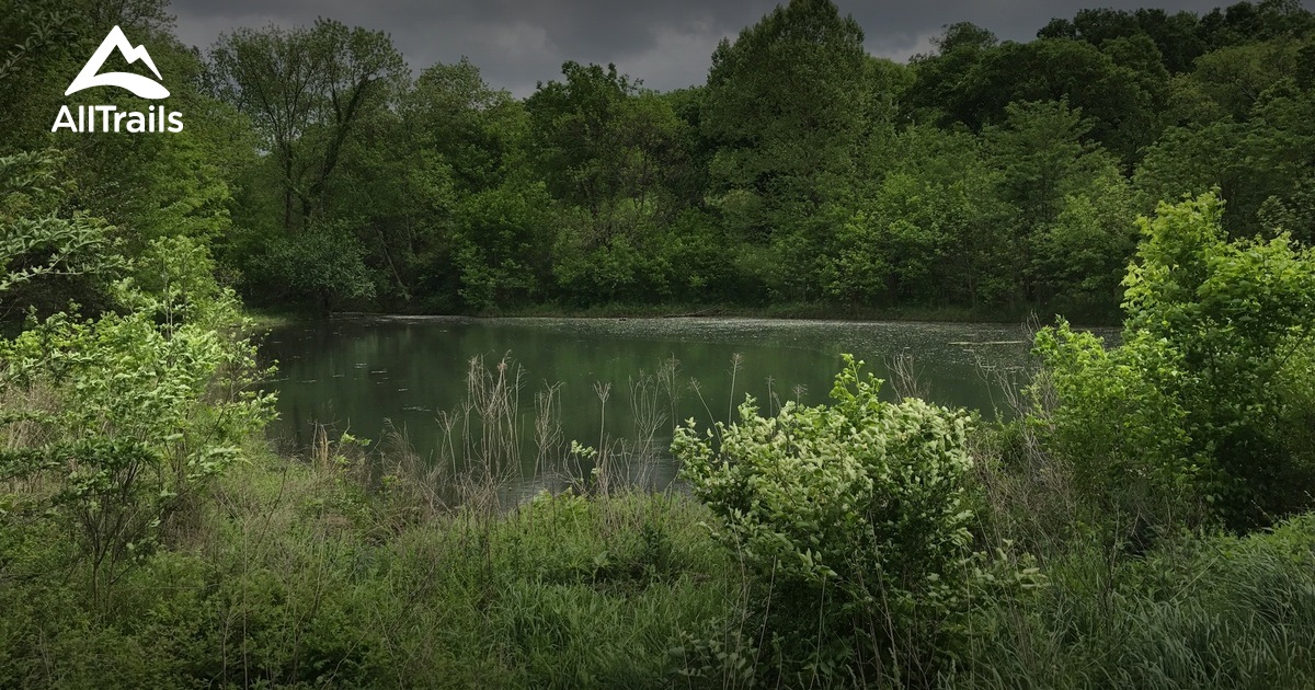 Best Hikes and Trails in Bells Bend Park AllTrails