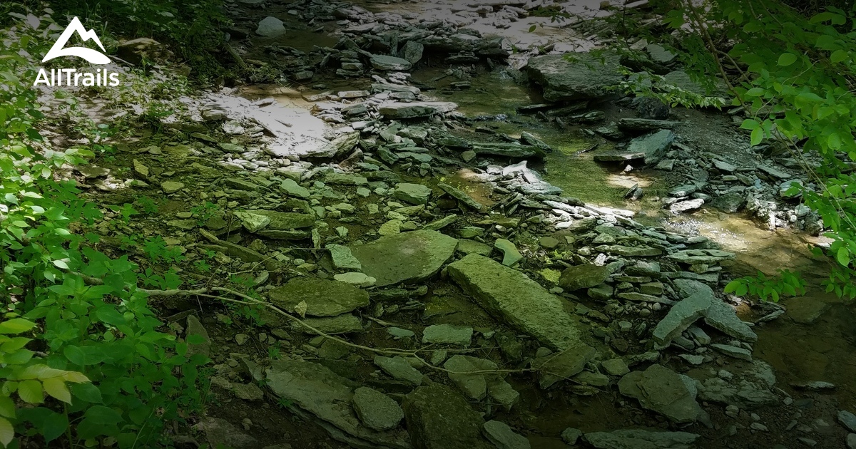 Best Trails in Halls Creek Woods State Nature Preserve Ohio AllTrails