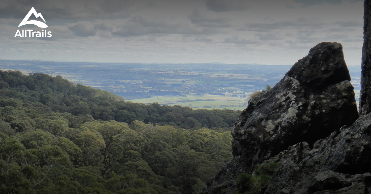 Best Trails in Mount Macedon Regional Park Victoria, Australia