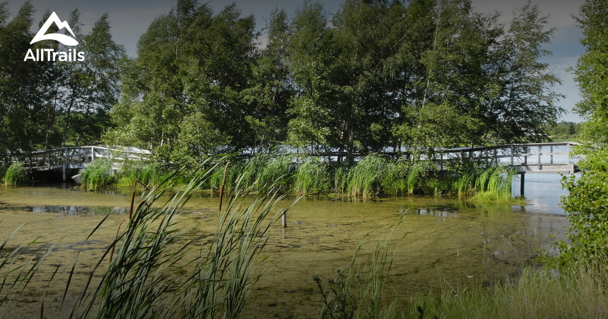 Best hikes and trails in Sackville Waterfowl Park AllTrails