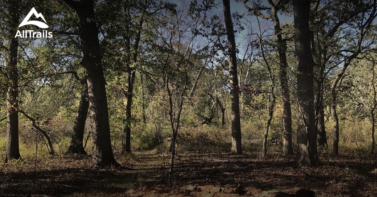 Best Hikes and Trails in Sand Ridge Nature Preserve AllTrails