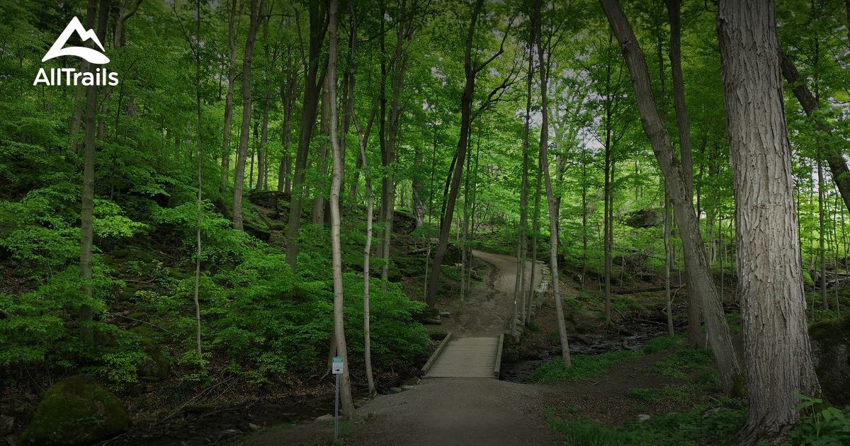 Best Trails in Dundas Valley Conservation Area - Ontario, Canada