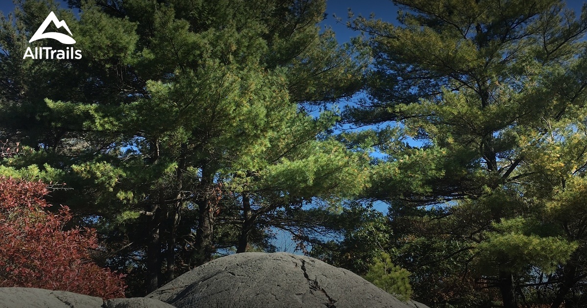 Best Hikes and Trails in Westwood Land Trust AllTrails