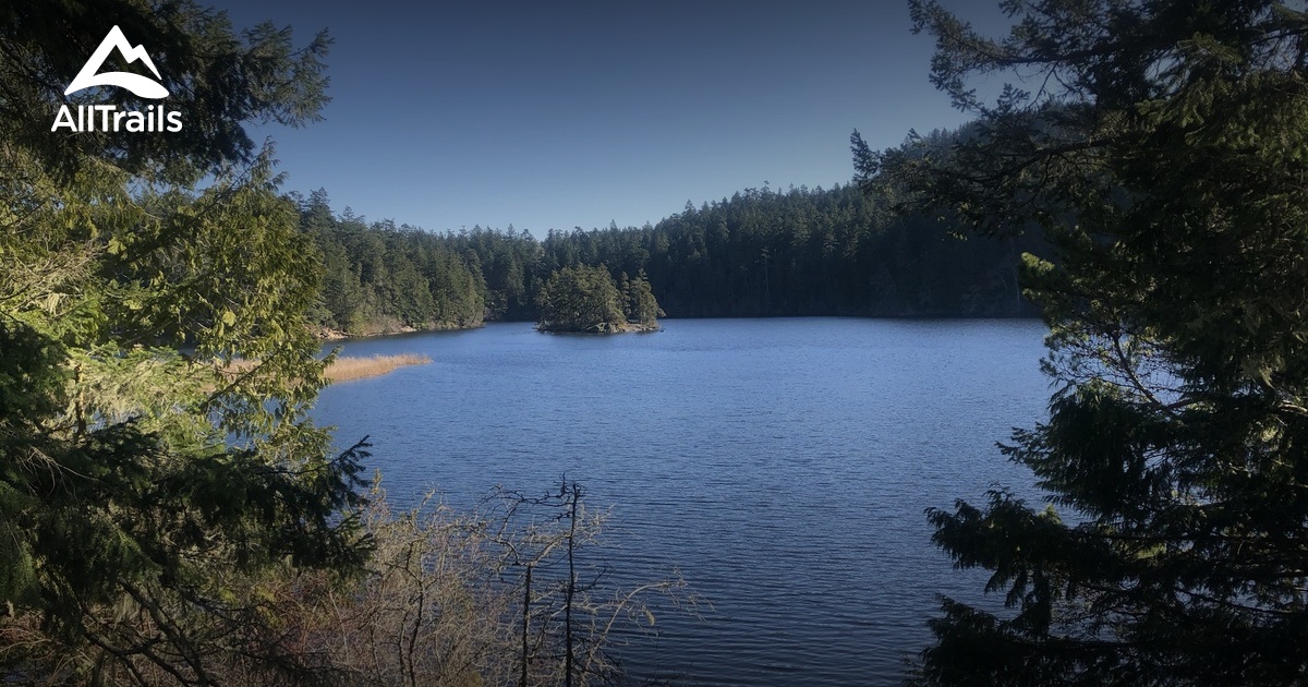 Best Trails in Matheson Lake Regional Park British Columbia, Canada