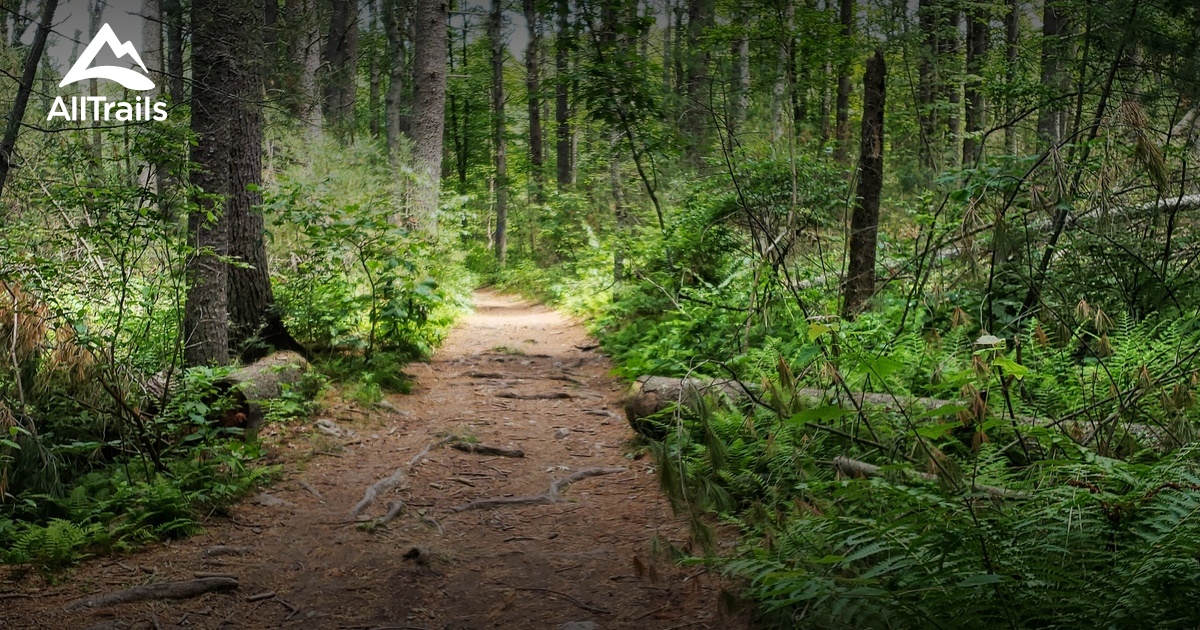 Best Hikes and Trails in Adams Farm AllTrails