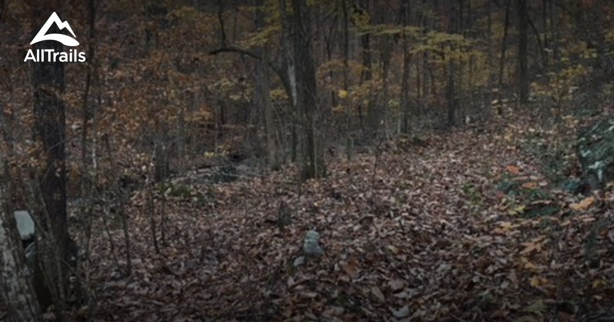 Best Trails in Black's Bluff Preserve AllTrails