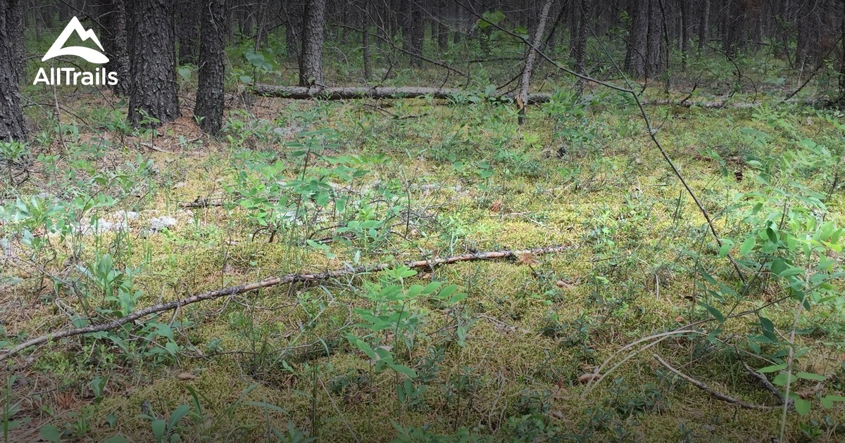 Best hikes and trails in Mars Hill Wildlife Management Area AllTrails