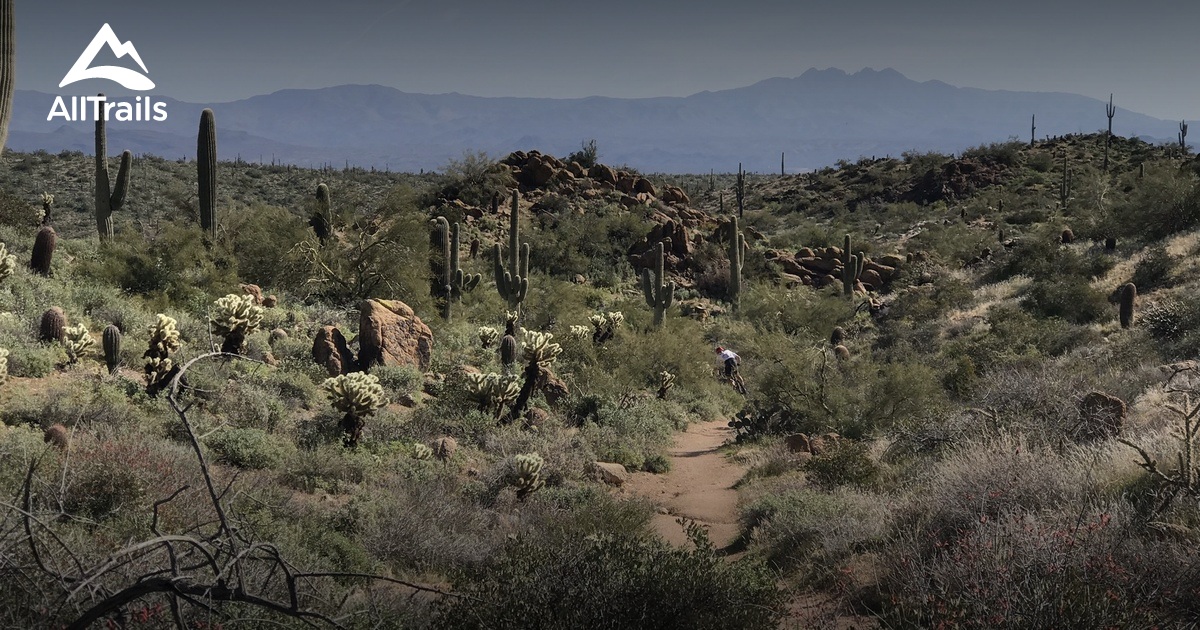 Mcdowell mountain regional park mountain online biking