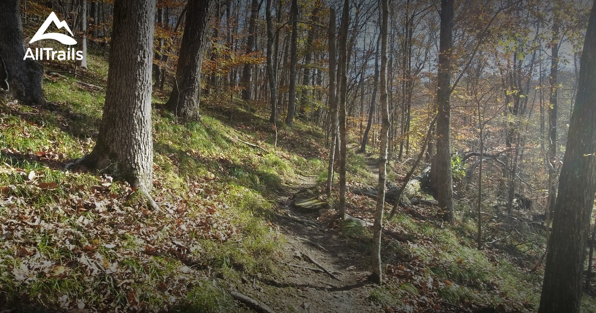 timberland griffin park