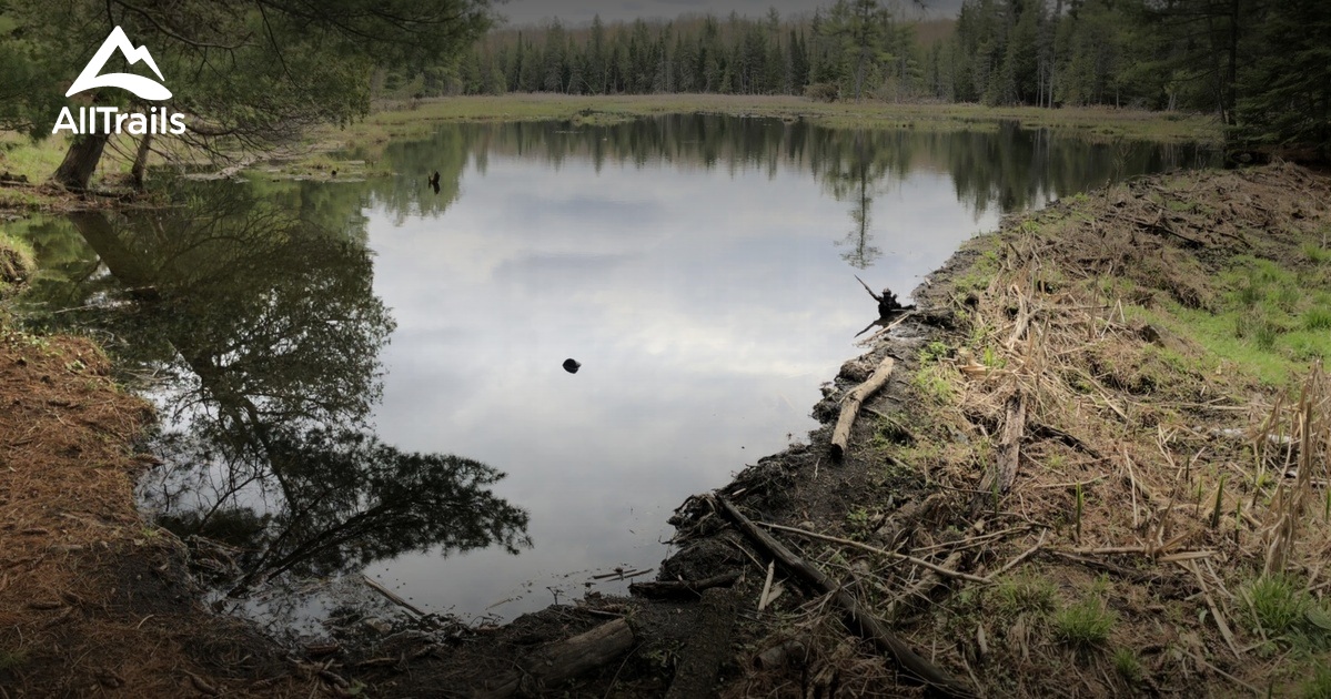 Best hikes and trails in High Lonesome Nature Reserve | AllTrails