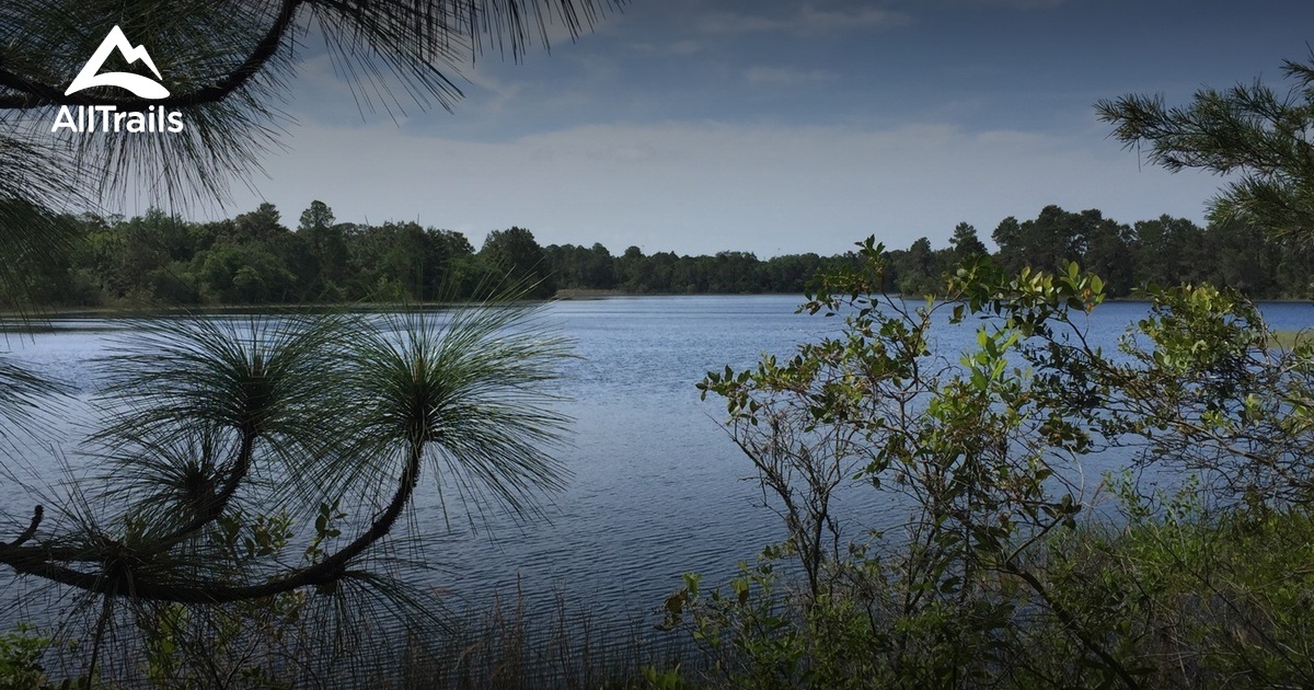 Best Trails in Golden Aster Scrub Preserve Florida AllTrails