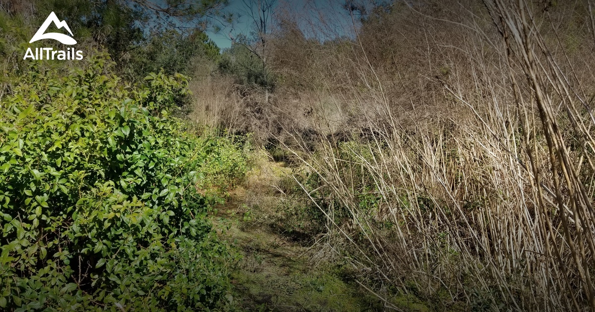 Best Hikes and Trails in Tuscawilla Preserve AllTrails