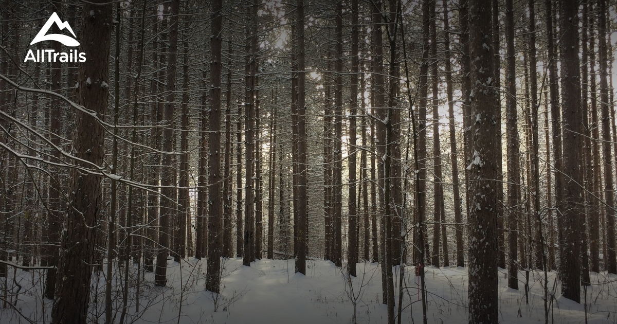 Best hikes and trails in Robert Graham Conservation Area | AllTrails