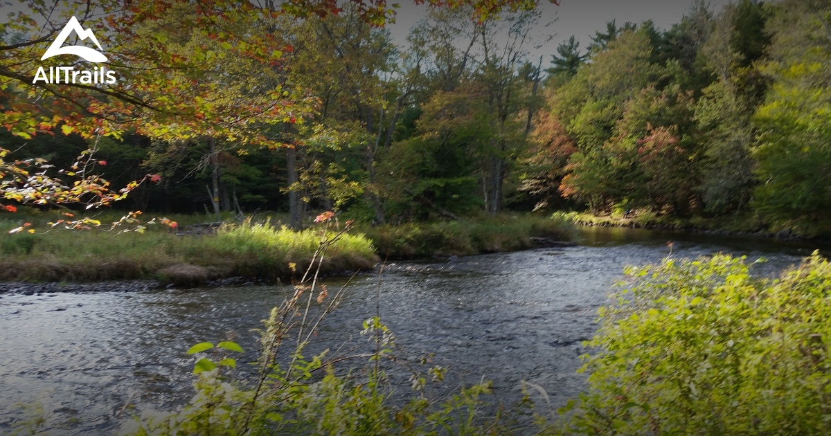 Best Hikes and Trails in Austin T. Blakeslee Natural Area AllTrails