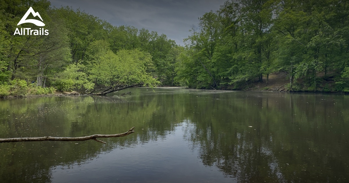 Best Hikes And Trails In Timber Creek Park 