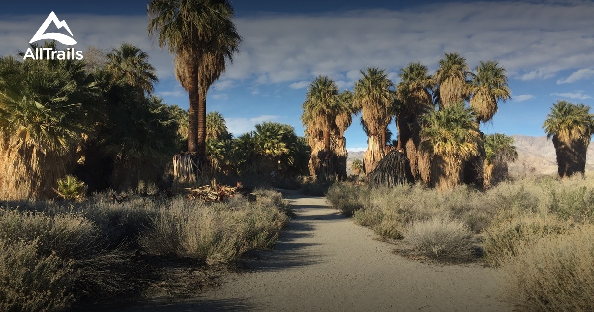 Best Trails in Coachella Valley Preserve - California | AllTrails