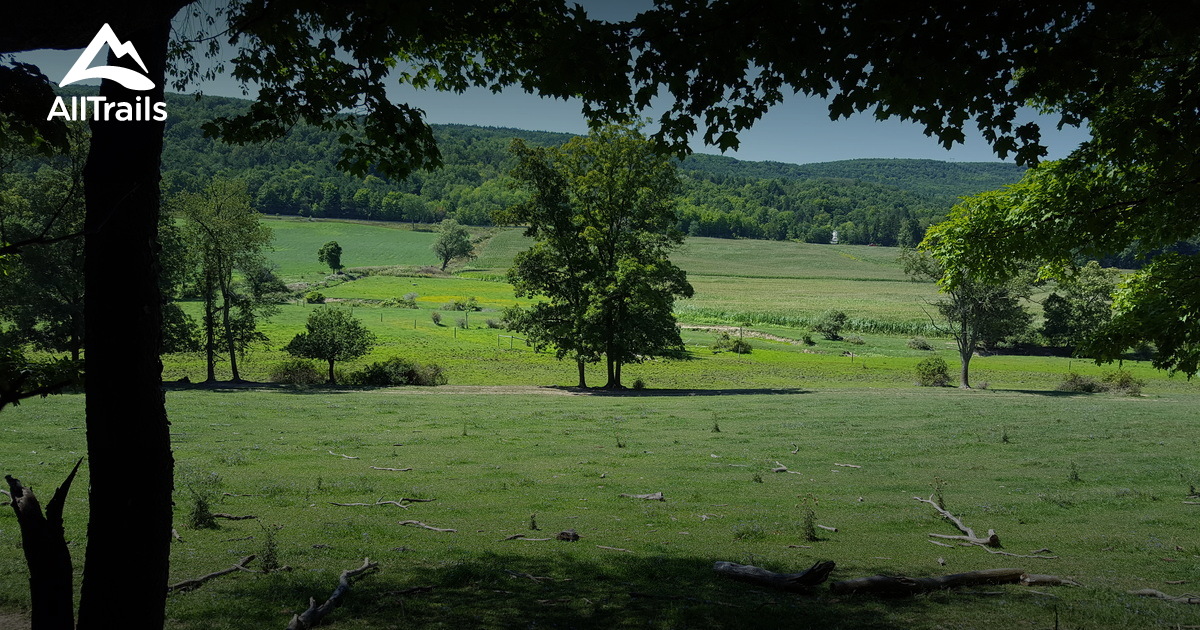 Best Hikes And Trails In Bennett Hill Preserve 