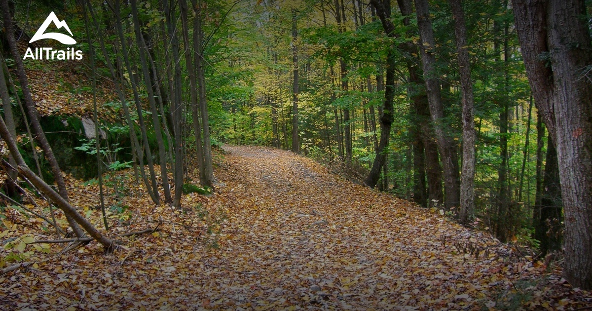 daniels road state forest trail map