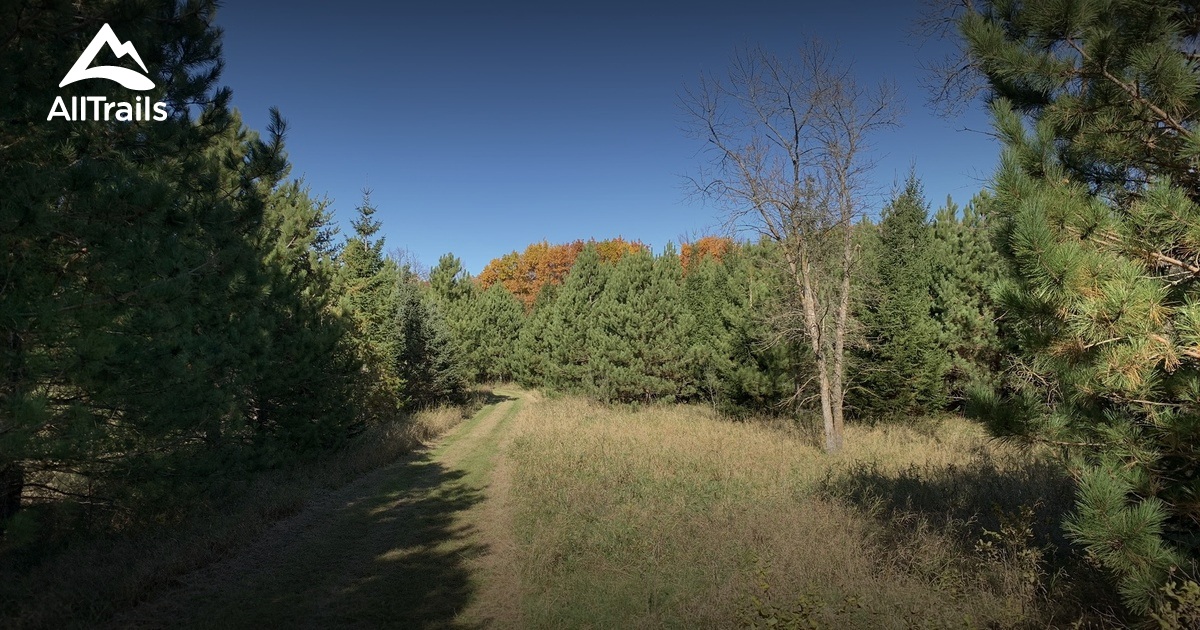 best-trails-in-andes-tower-hills-minnesota-alltrails