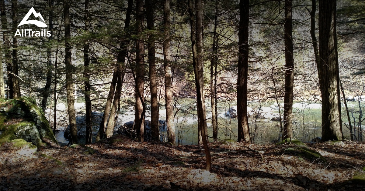 Best hikes and trails in Kinderhook Creek Preserve AllTrails