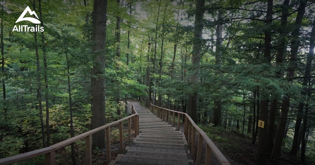 Best Forest Trails in Kortright Centre for Conservation AllTrails