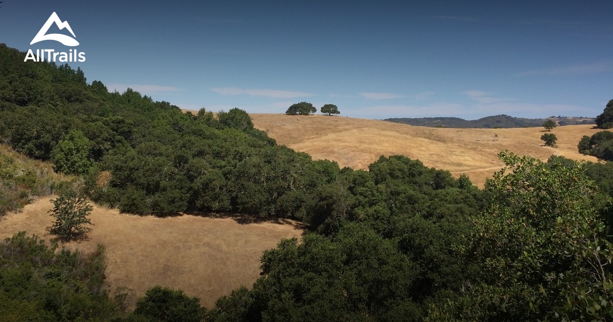Best Trails in Edgewood Park and Nature Preserve California AllTrails