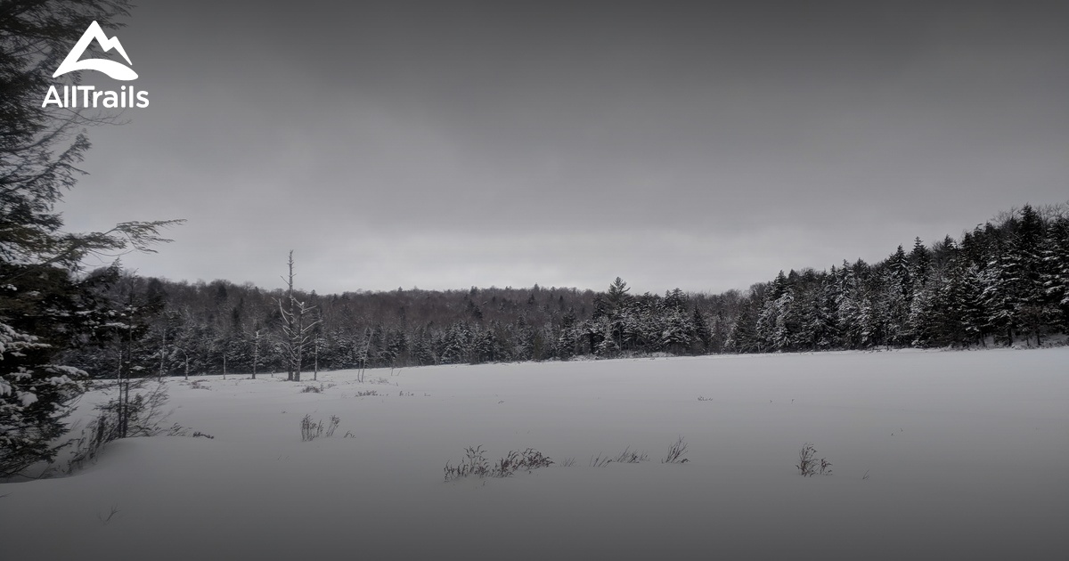 Best Trails in Ferris Lake Wild Forest New York AllTrails