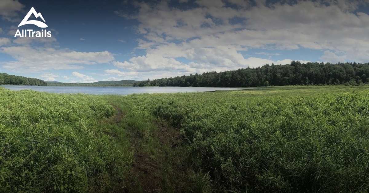 10 Best Hikes and Trails in Ferris Lake Wild Forest AllTrails