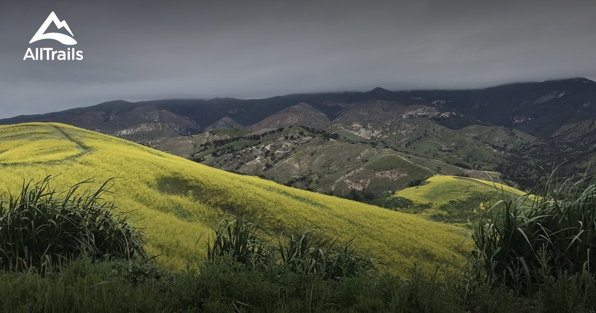 Best Trails In El Capitan State Beach California Alltrails