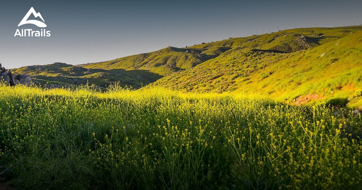 Best Hikes And Trails In Sycamore Canyon Wilderness Park Alltrails