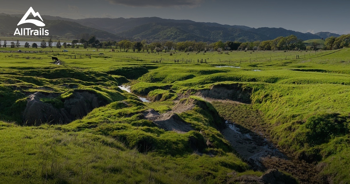Best Trails in Lagoon Valley Park/Pena Adobe Park California AllTrails
