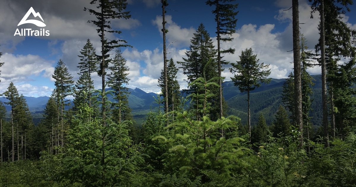 Best Trails in Elbe Hills State Forest Washington AllTrails