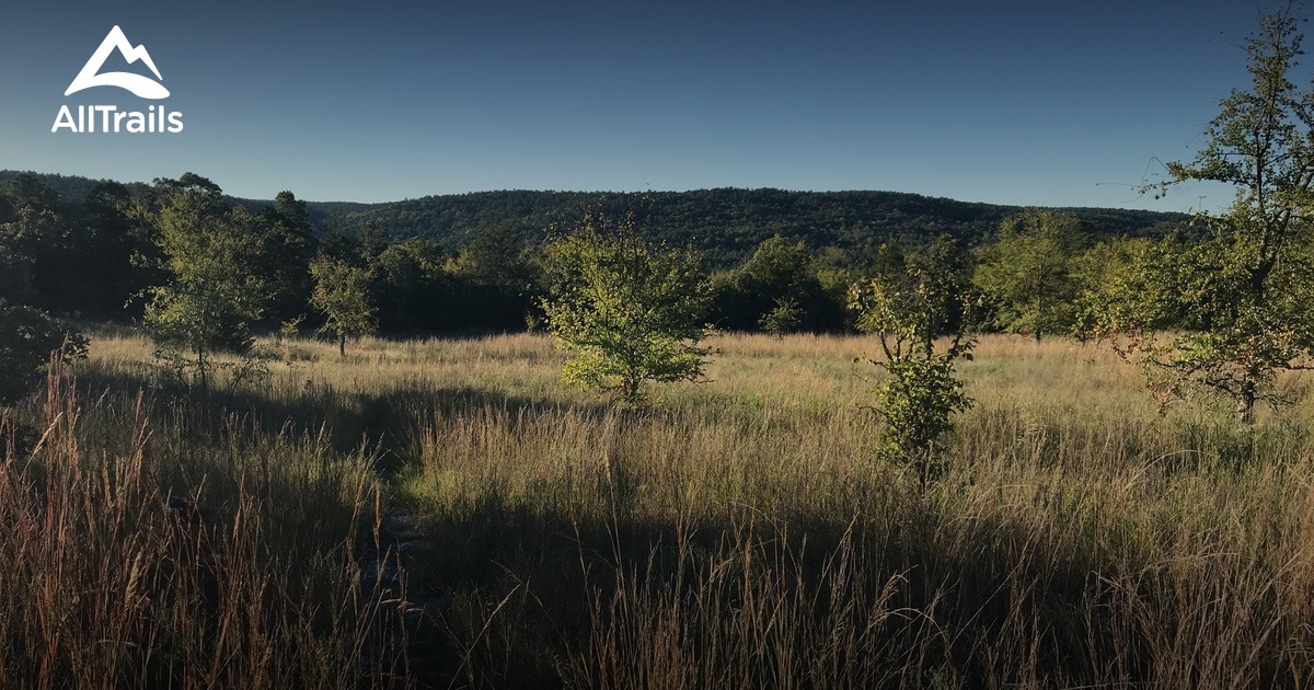 Best Trails In Mcgee Creek State Natural Scenic Recreational Area