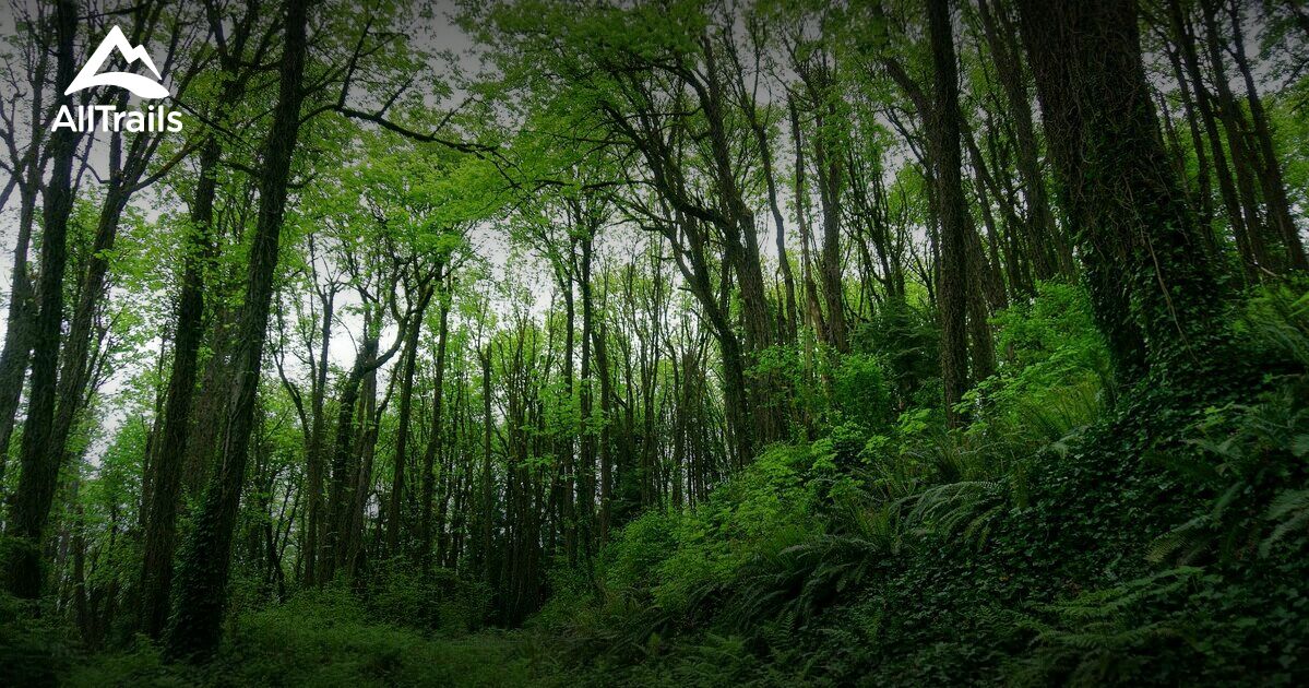 Best hikes and trails in River View Natural Area | AllTrails
